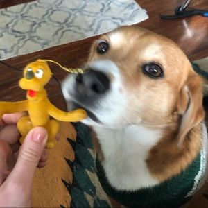 Meet your Posher, Ellen